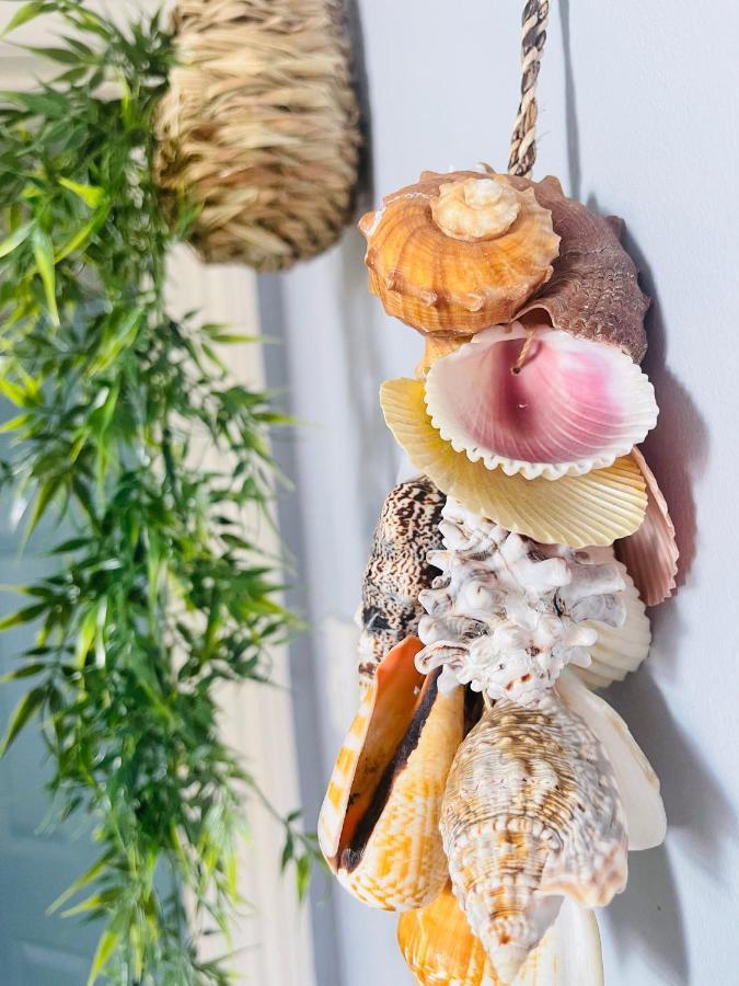 Seaside Seashell *