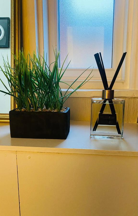 Apartment 1 Bedroom Spacious