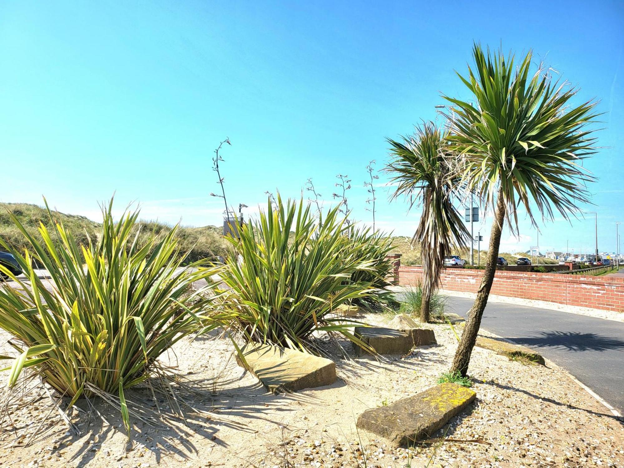 Seaside Themed With Garden And Driveway