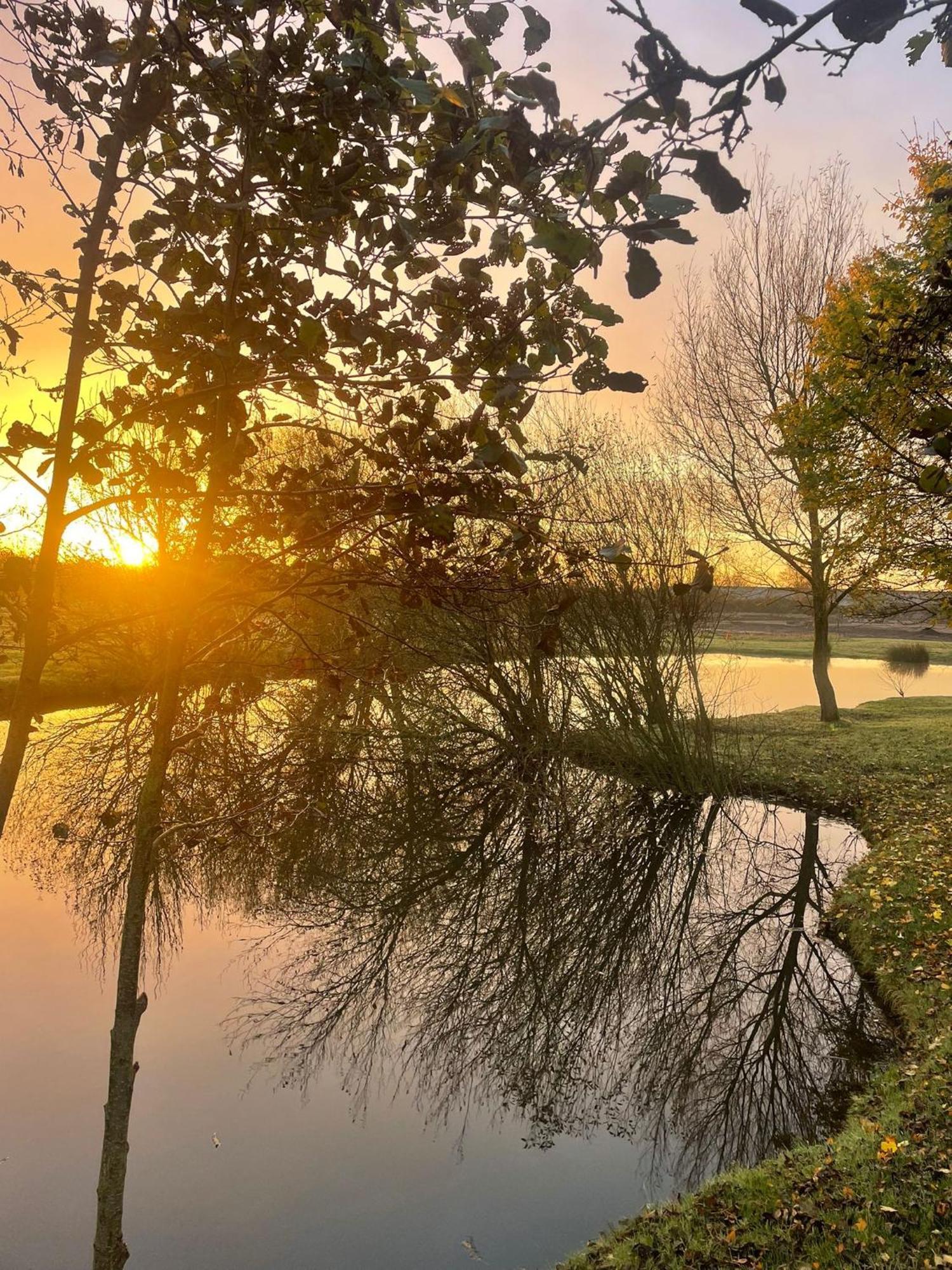 View Campsite