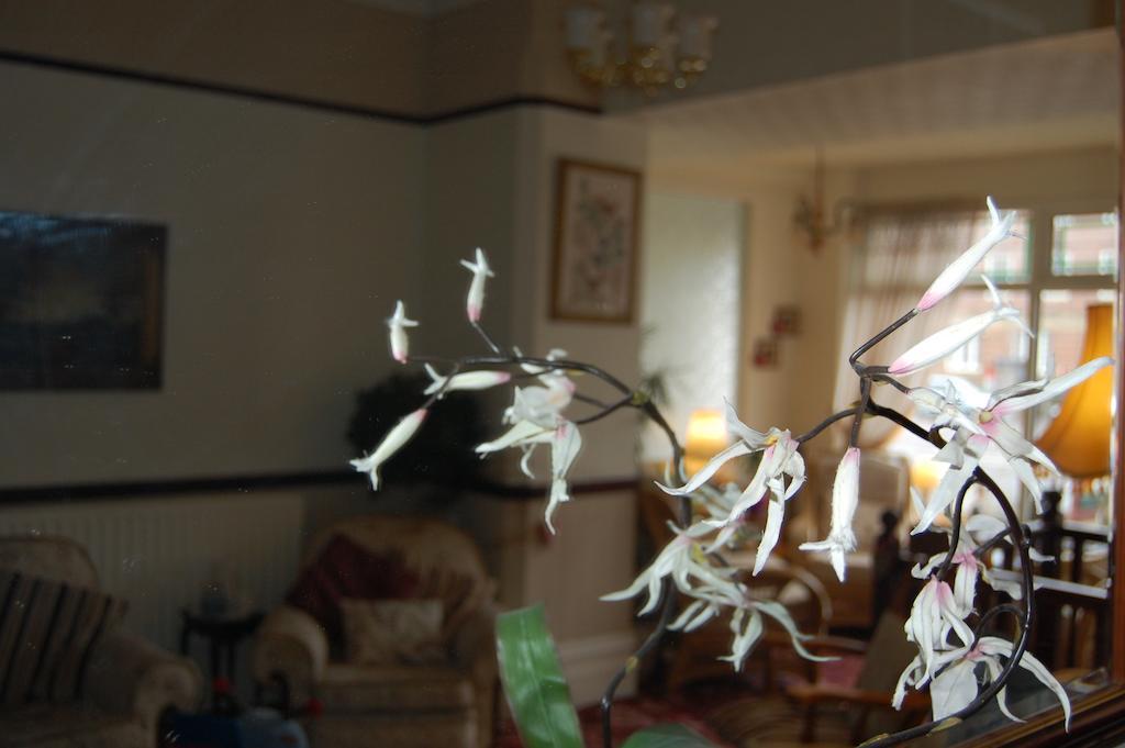 Bed & Breakfast The Hollingworth 4*