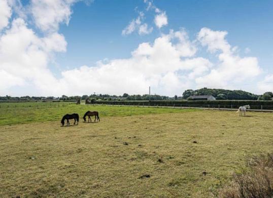 The At Ivy Farm By Charles Alexander Short Holiday home