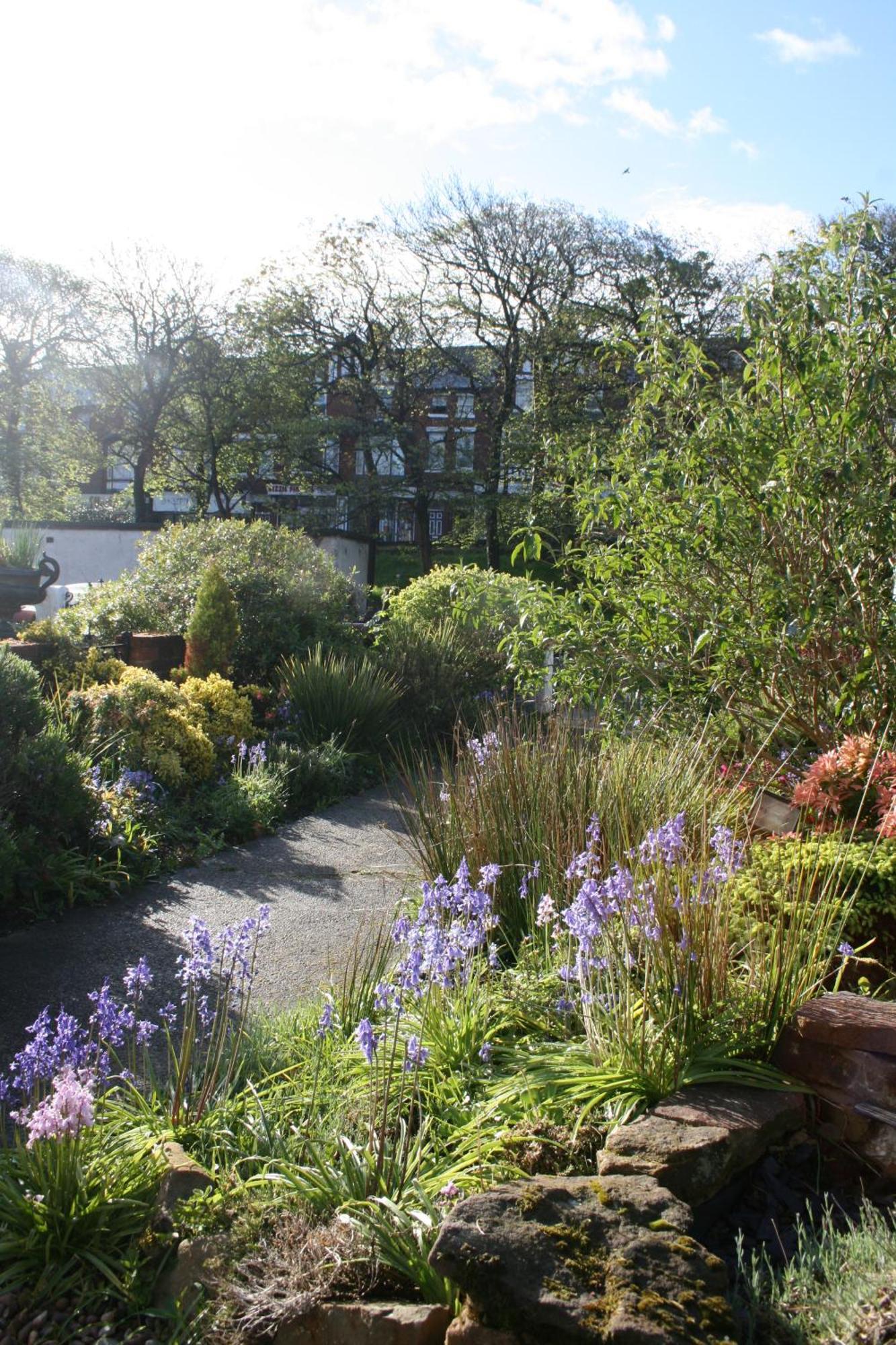 Bed & Breakfast The Fairmile